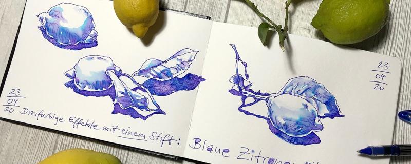 Einführung Sketching: Knackiges Obst und junges Gemüse