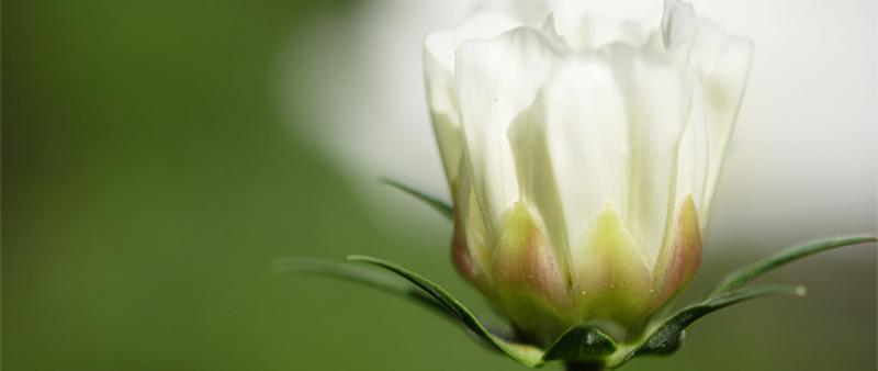 „Einfach“ fotografieren – Grundlagen Fotografie