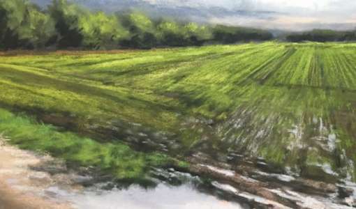 Von Regenfront bis Sommergewitter - Wetter in Pastell