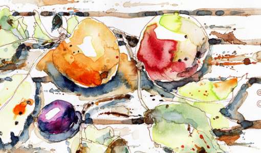 Veggie Sketching — frische Skizzen aus der Küche