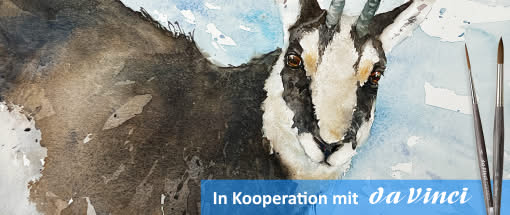 After Work: Das Weiß im (Tier)Aquarell - die Gemse