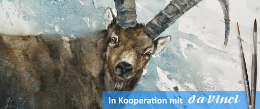 After Work: Das Weiß im (Tier)Aquarell - der Steinbock