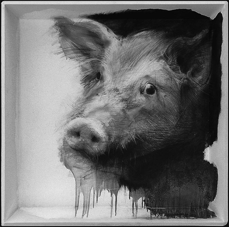 Tiere zeichnen mit spezieller Graphittechnik