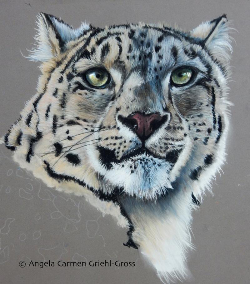 Tiere in Pastell